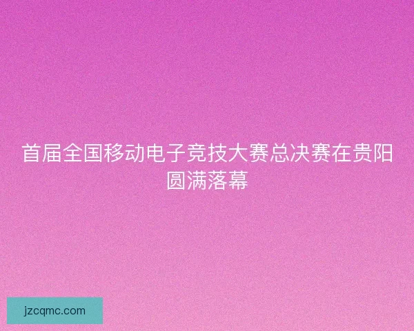 首届全国移动电子竞技大赛总决赛在贵阳圆满落幕